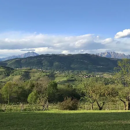 Castagna Amara Montevecchia